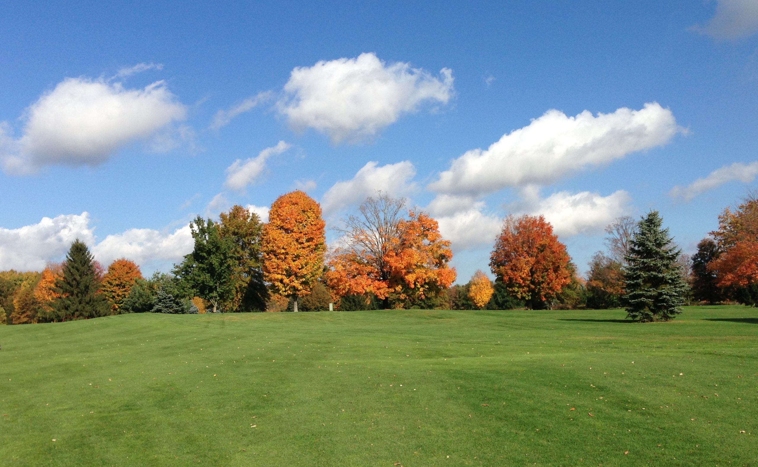Fifth Fairway